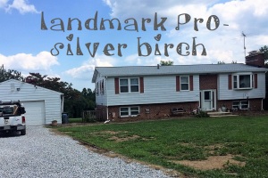 Landmark Pro Max Def Silver Birch